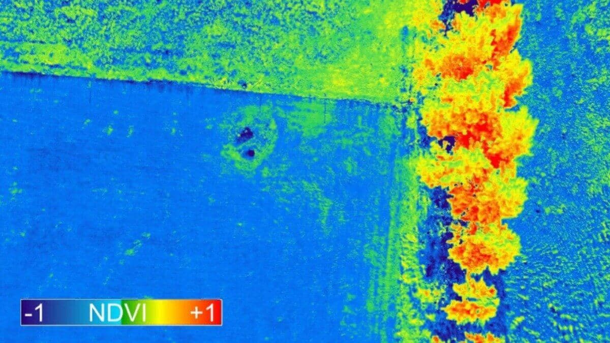 Multispectral